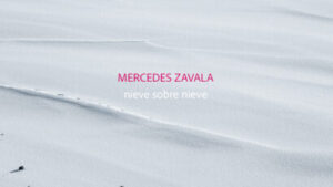 1CM0484_frontcover-410×410
